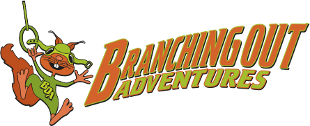 logo-boa